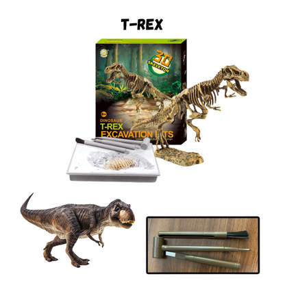Buy Dinosaur Excavation Kit Online