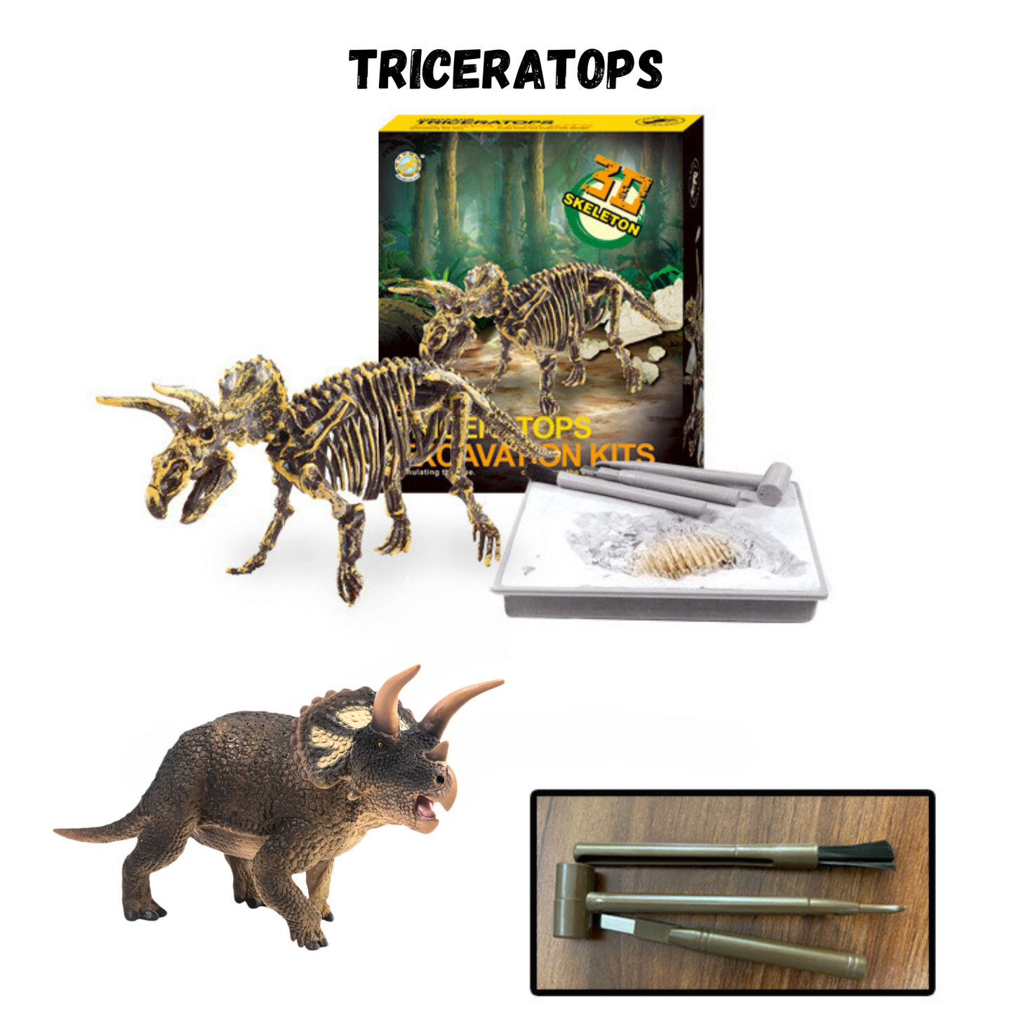 Buy Dinosaur Excavation Kit Online