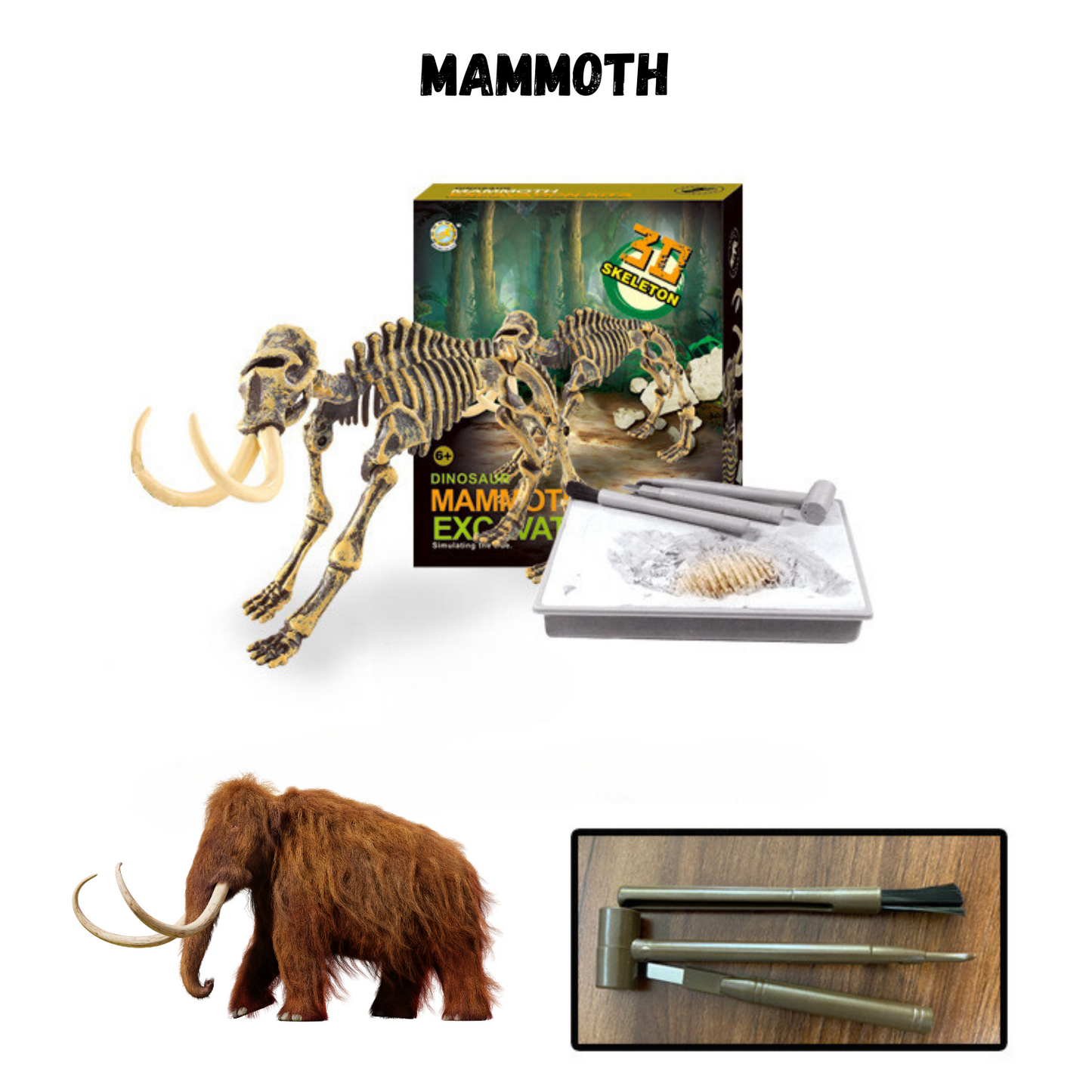 Buy Dinosaur Excavation Kit Online
