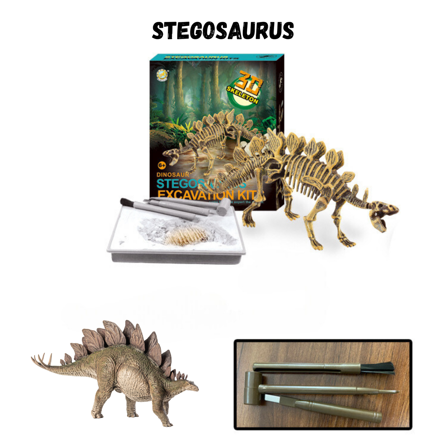 Buy Dinosaur Excavation Kit Online
