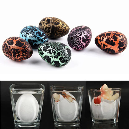 Magical Dinosaur Eggs - Dinosaur Toys