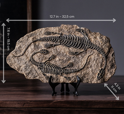 Buy Dinosaur Decorations Fossil Online