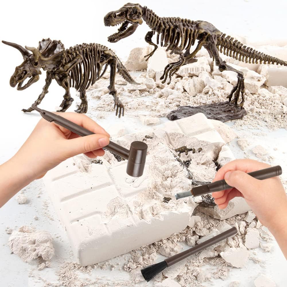 Buy Dinosaur Excavation Kit Online