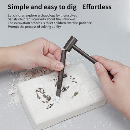 Buy Dinosaur Excavation Kit Online