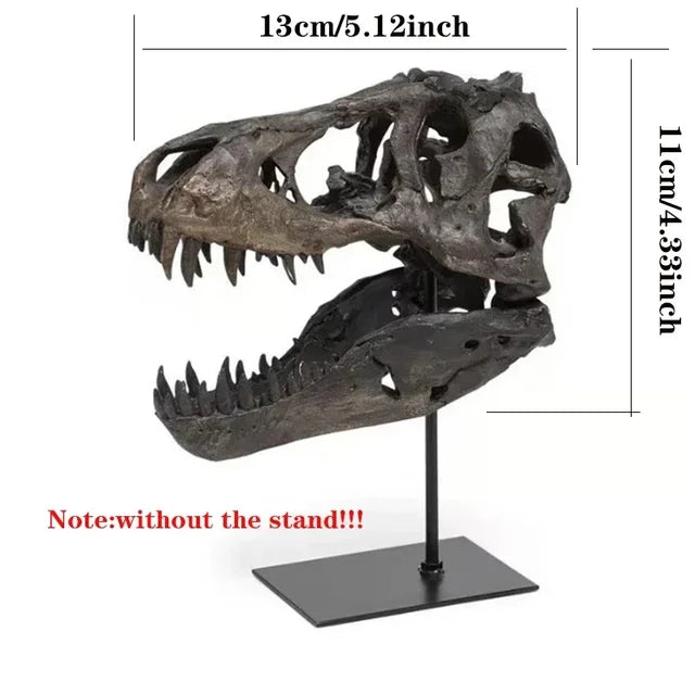 T-Rex Skull Resin Fossil – Dinosaur Decor for Home & Office