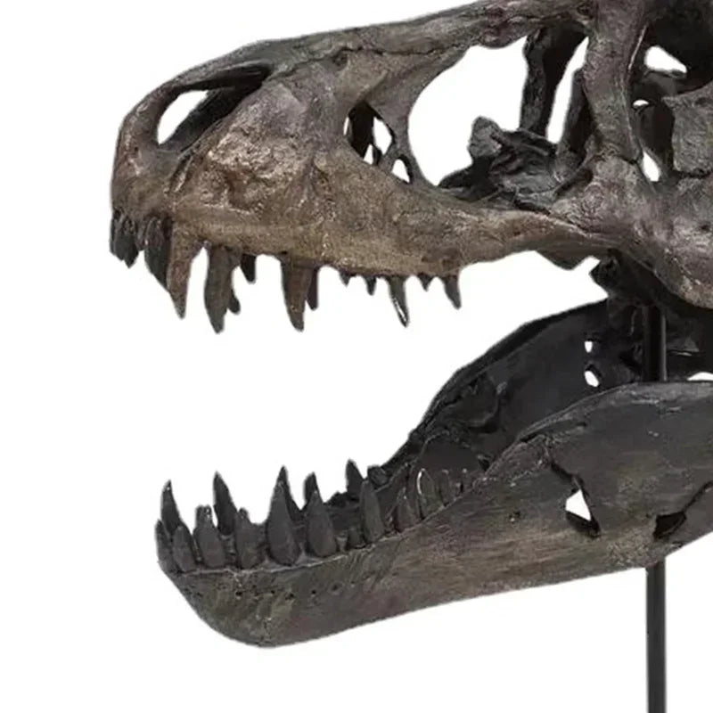 T-Rex Skull Resin Fossil – Dinosaur Decor for Home & Office